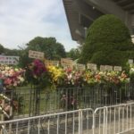 欅坂46を知る 武道館3rdアニラ 2日目感想 影絵パフォーマンス最高！